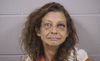 Woman Arrested After Attempted Break-in, Alleged Assault on Deputy in Dickinson County